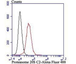 Proteasome 20S C2 Rabbit anti-Human, Mouse, Rat, Clone: JB89-30, Novus