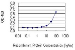Protein O-Fucosyltransferase 1/POFUT1 Antibody (3H1), Novus Biologicals 0.1 mg | Buy Online | Novus Biologicals | Fisher Scientific