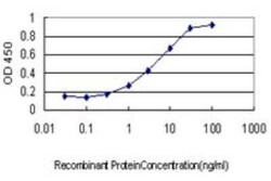 Protein phosphatase 1F Antibody (2A9), Novus Biologicals 0.1 mg | Buy Online | Novus Biologicals | Fisher Scientific