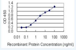 RAB11FIP3 Antibody (6H6), Novus Biologicals 100 &mu;g | Buy Online | Novus Biologicals | Fisher Scientific