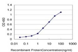 RAB36 Antibody (6A6), Novus Biologicals 50 &mu;g | Buy Online | Novus Biologicals | Fisher Scientific