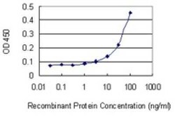 RABEP1 Antibody (3H6), Novus Biologicals 0.1 mg | Buy Online | Novus Biologicals | Fisher Scientific