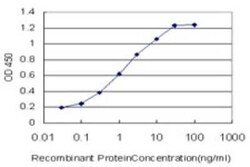 RABIF/MSS4 Antibody (2G3), Novus Biologicals 0.1 mg | Buy Online | Novus Biologicals | Fisher Scientific