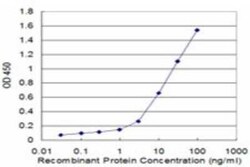RABIF/MSS4 Antibody (3A6), Novus Biologicals 0.1 mg | Buy Online | Novus Biologicals | Fisher Scientific