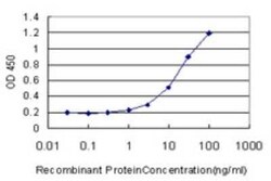 RAMP1 Antibody (1F1), Novus Biologicals 0.1 mg | Buy Online | Novus Biologicals | Fisher Scientific
