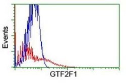 RAP74 Antibody (OTI4B10) - Azide and BSA Free, Novus Biologicals 100 &mu;g | Buy Online | Novus Biologicals | Fisher Scientific