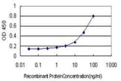 RASA3 Antibody (1F11), Novus Biologicals 100 &mu;g | Buy Online | Novus Biologicals | Fisher Scientific