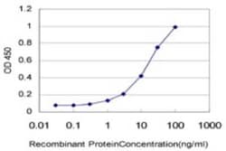 RASEF Antibody (2D5), Novus Biologicals 0.1 mg; Unconjugated:Antibodies,