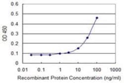 RASL11B Antibody (1B5), Novus Biologicals 0.1 mg | Buy Online | Novus Biologicals | Fisher Scientific