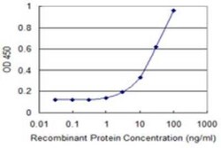 REXO2 Antibody (2B5), Novus Biologicals 0.1 mg | Buy Online | Novus Biologicals | Fisher Scientific