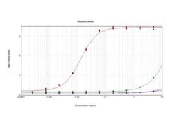 RFP Antibody, Novus Biologicals 100 &mu;g; Unconjugated:Antibodies, Polyclonal