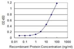 RGL1 Antibody (3E10), Novus Biologicals 0.1 mg | Buy Online | Novus Biologicals | Fisher Scientific