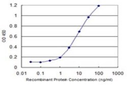 RHBDL2 Antibody (2H1), Novus Biologicals 0.1 mg | Buy Online | Novus Biologicals | Fisher Scientific