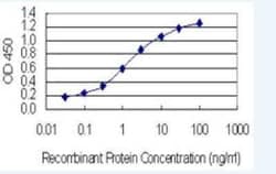 RIC8A Antibody (1H6), Novus Biologicals 100 &mu;g; Unconjugated:Antibodies,