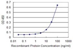 Novus Biologicals RING1 Antibody (2B3), Novus Biologicals 0.1 mg | Buy Online | Novus Biologicals&trade; | Fisher Scientific