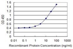 Novus Biologicals RND3 Antibody (1D2), Novus Biologicals 0.1 mg | Buy Online | Novus Biologicals&trade; | Fisher Scientific