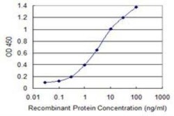 RNF111 Antibody (1C4), Novus Biologicals 0.1 mg | Buy Online | Novus Biologicals | Fisher Scientific