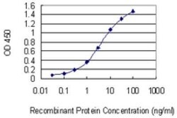 RNF186 Antibody (4F10), Novus Biologicals 0.1 mg, Unconjugated:Antibodies,
