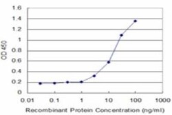 RNF2 Antibody (4A9), Novus Biologicals 0.1 mg | Buy Online | Novus Biologicals | Fisher Scientific