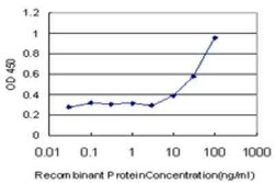 ROPN1 Antibody (4E11), Novus Biologicals 0.1 mg | Buy Online | Novus Biologicals | Fisher Scientific