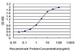 RP2 Antibody (5C10), Novus Biologicals 0.1 mg | Buy Online | Novus Biologicals | Fisher Scientific