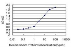RPS2 Antibody (3G6), Novus Biologicals 0.1 mg | Buy Online | Novus Biologicals | Fisher Scientific