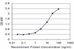 RUVBL1 Antibody (3G4-1F8), Novus Biologicals 0.1 mg | Buy Online | Novus Biologicals | Fisher Scientific