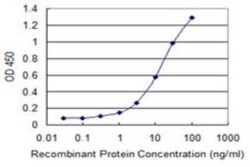 RUVBL2 Antibody (3C6), Novus Biologicals 0.1 mg | Buy Online | Novus Biologicals | Fisher Scientific