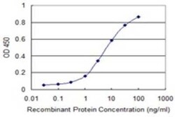 RXR alpha/NR2B1 Antibody (4D6), Novus Biologicals 0.1 mg | Buy Online | Novus Biologicals | Fisher Scientific
