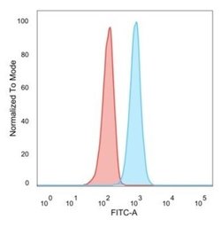 RXR beta/NR2B2 Antibody (PCRP-RXRB-2B6) - Azide and BSA Free, Novus Biologicals