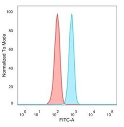 RXR beta/NR2B2 Antibody (PCRP-RXRB-2B6) - Azide and BSA Free, Novus Biologicals