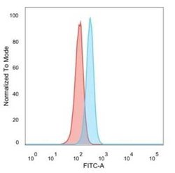 RXR gamma/NR2B3 Mouse anti-Human, Clone: PCRP-RXRG-5H4, Novus Biologicals:Antibodies:Primary
