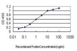 Rab27a Antibody (1G7), Novus Biologicals 0.1 mg; Unconjugated:Antibodies,