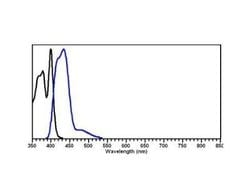 Rabbit anti-Goat IgG Fc Secondary Antibody, Novus Biologicals 2 mg | Buy Online | Novus Biologicals | Fisher Scientific