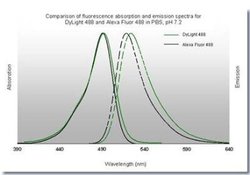 Rabbit anti-Goat IgG Fc Secondary Antibody, Novus Biologicals 2 mg | Buy Online | Novus Biologicals | Fisher Scientific