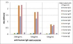IgA Antibody (RM128), Biotin, Novus Biologicals 50&mu;g:Antibodies, Monoclonal