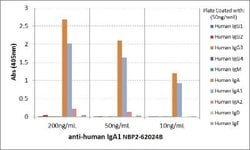 IgA1 Antibody (RM124), Biotin, Novus Biologicals 50&mu;g:Antibodies, Monoclonal