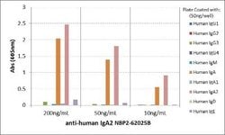 IgA2 Antibody (RM125), Biotin, Novus Biologicals 50 &mu;g | Buy Online | Novus Biologicals | Fisher Scientific