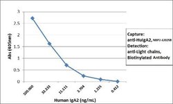 IgA2 Antibody (RM125), Biotin, Novus Biologicals 50 &mu;g | Buy Online | Novus Biologicals | Fisher Scientific
