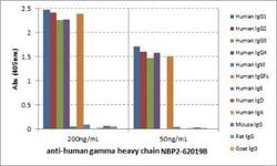IgG Heavy Chain Antibody (RM116), Biotin, Novus Biologicals 50&mu;g:Antibodies,