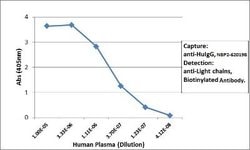 IgG Heavy Chain Antibody (RM116), Biotin, Novus Biologicals 50&mu;g:Antibodies,