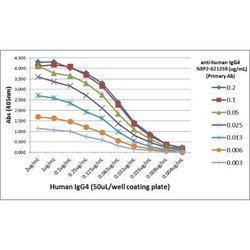 IgG4 Antibody (RM120), Biotin, Novus Biologicals 50&mu;g:Antibodies, Monoclonal