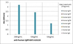 IgM Antibody (RM121), Biotin, Novus Biologicals 50 &mu;g | Buy Online | Novus Biologicals | Fisher Scientific