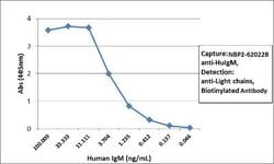 IgM Antibody (RM121), Biotin, Novus Biologicals&trade;