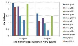 Kappa Light Chain Antibody (RM126), Biotin, Novus Biologicals 50 &mu;g | Buy Online | Novus Biologicals | Fisher Scientific