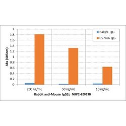 IgG2c Antibody (RM223), Biotin, Novus Biologicals 50&mu;g:Antibodies, Monoclonal