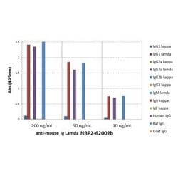 Lambda Light Chain Antibody (RM110), Novus Biologicals™
