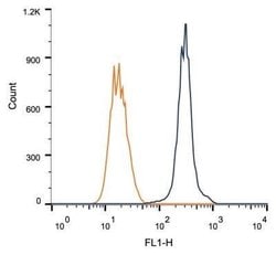 Rad51C Antibody (2H11/6) - Azide and BSA Free, Novus Biologicals 0.1 mL;