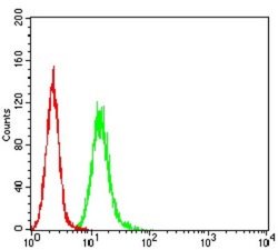 RalB Antibody (8A8A9) - BSA Free, Novus Biologicals 0.025 mL; Unconjugated:Antibodies,