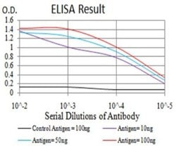 Ran Antibody (8D1H12) - BSA Free, Novus Biologicals 0.1 mL | Buy Online | Novus Biologicals | Fisher Scientific